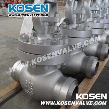 Cast & Forged Bw End Globe Valves